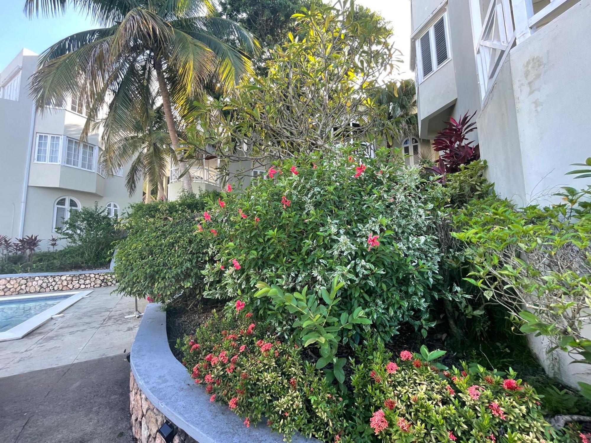 Oceanbreeze Jamaica Penthouse, 7-Minute Walk To Beach Ocho Rios Exterior photo